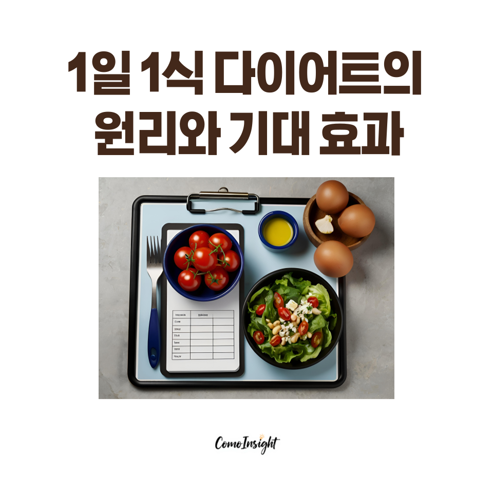 1일 1식의 대표적 식단 음식의 식판 이미지