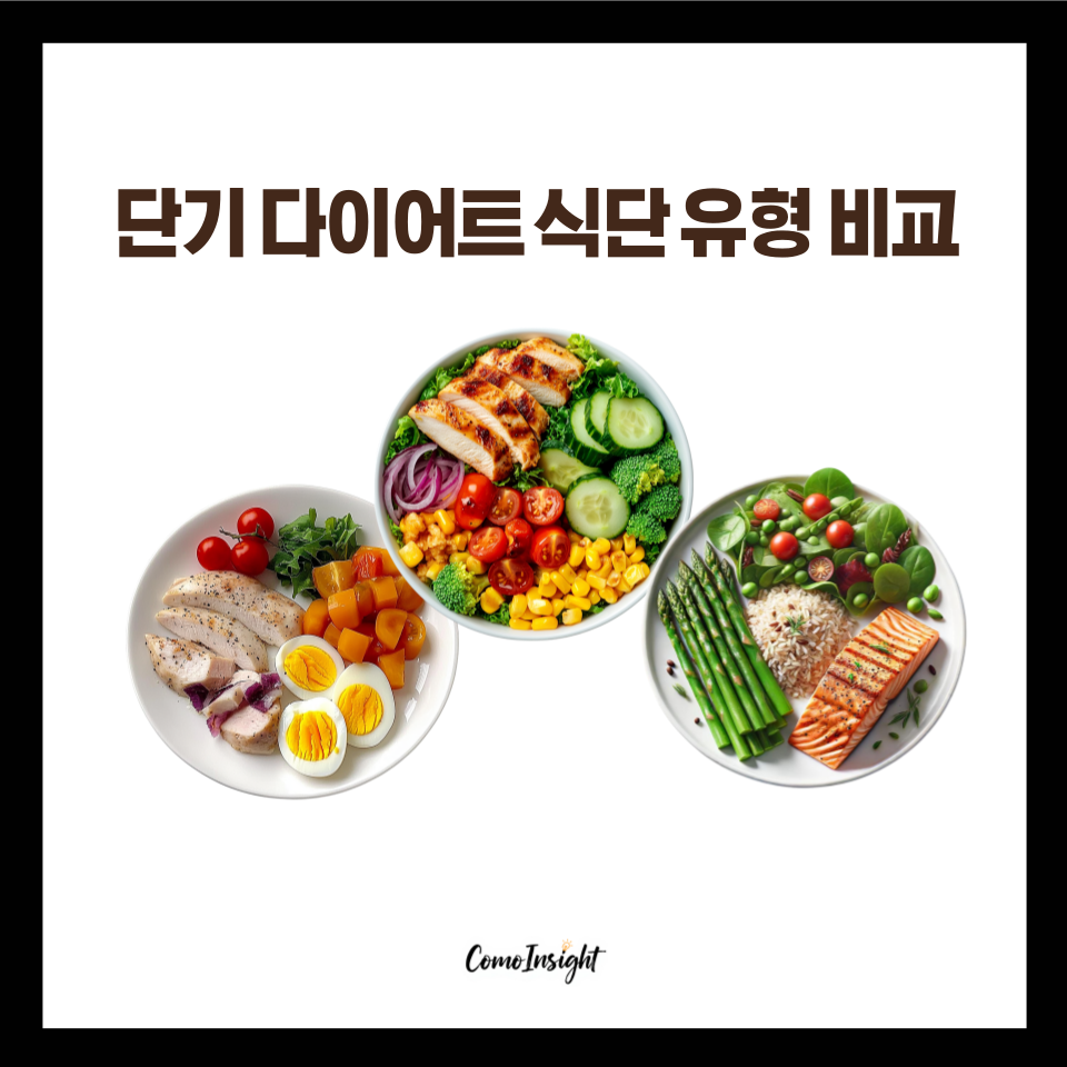 단기 다이어트 식단 유형 비교 인포그래픽: 원푸드, 해독주스, 초저열량 식단