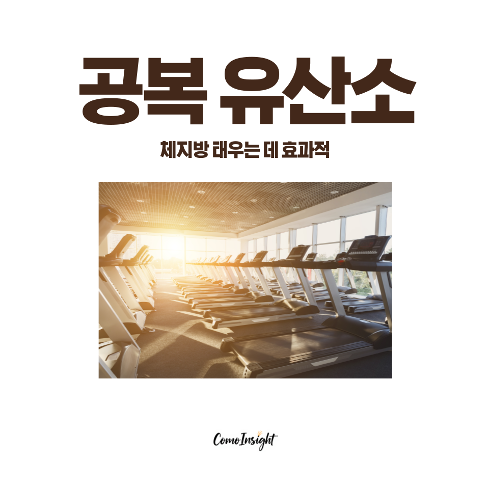 헬스장에 공복유산소 운동을 대표하는 런닝머신들의 이미지