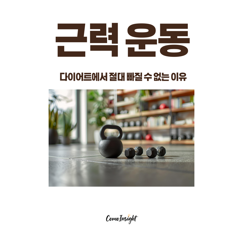 근력운동을 상징하는 바벨들이 헬스장에 있는 이미지