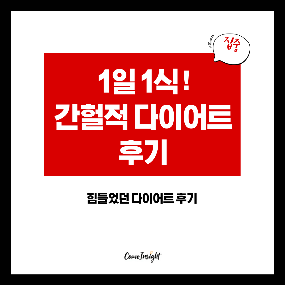 1일 1식 다이어트후기를 소개하는 텍스트 썸네일 이미지