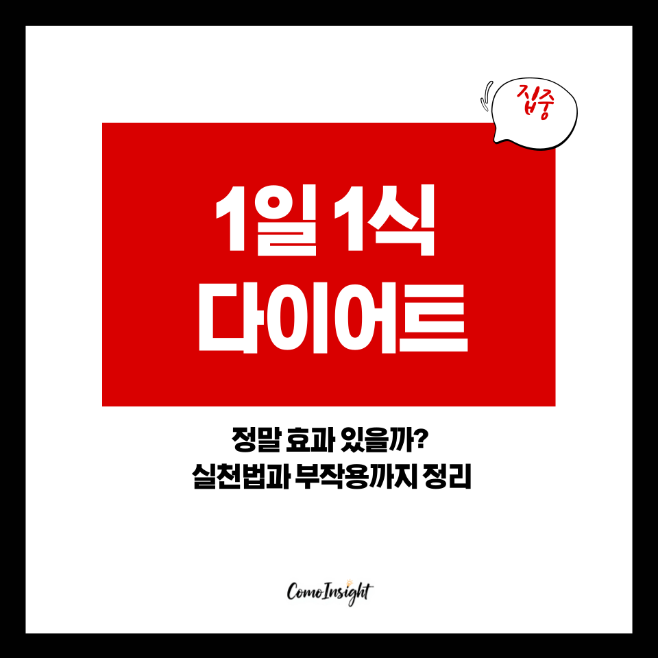 1일1식 다이어트를 소개하는 텍스트썸네일 이미지