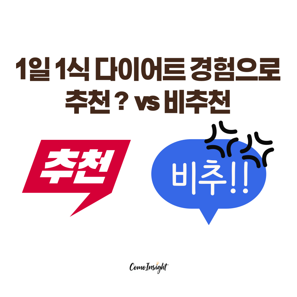 1일1식 다이어트 추천할지 비추천할지 이미지