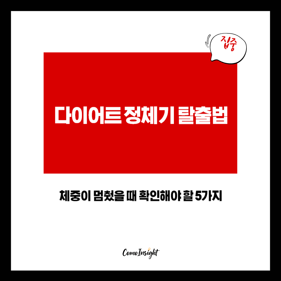 다이어트 정체기 탈출방법 텍스트 썸네일 이미지