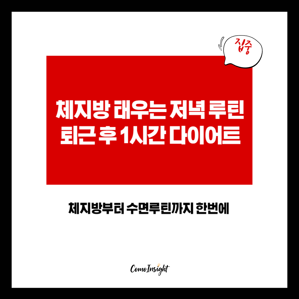 체지량 태우는 저녁 텍스트 썸네일 이미지